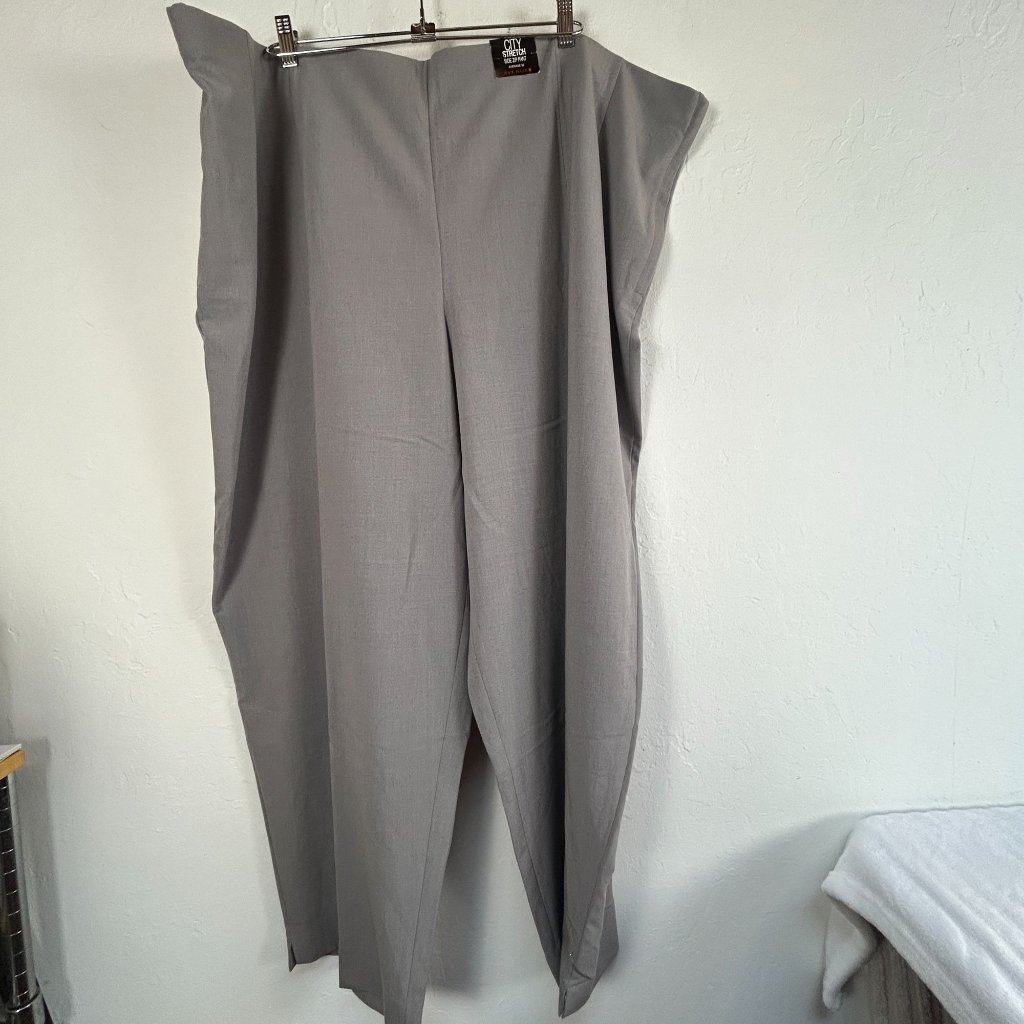 Avenue Womens City Stretch Side Zip Pants Gray Size 32 High Rise Stretch New